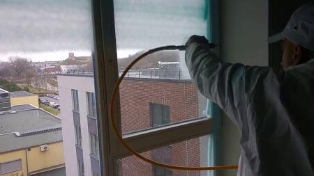 rastiniai namai projektai