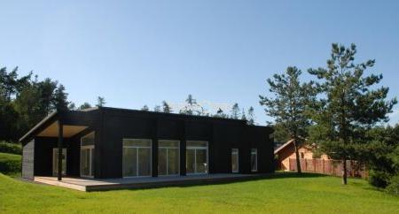 skandinaviski dazai medienai